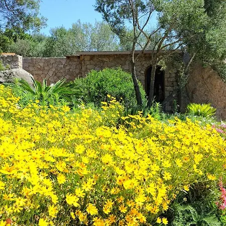 Mdc Villa Bonifacio (Corsica)