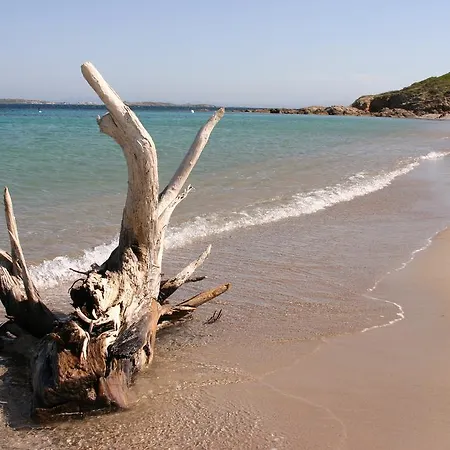 Mdc Bonifacio (Corsica)
